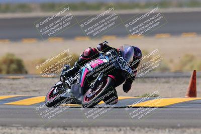 media/Oct-08-2022-SoCal Trackdays (Sat) [[1fc3beec89]]/Turn 14 (1050am)/